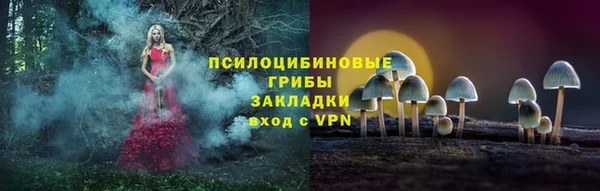 шишки Лиски
