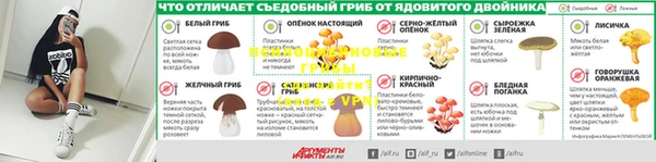 ешки Лабытнанги