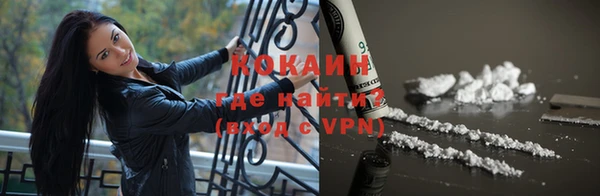 шишки Лиски