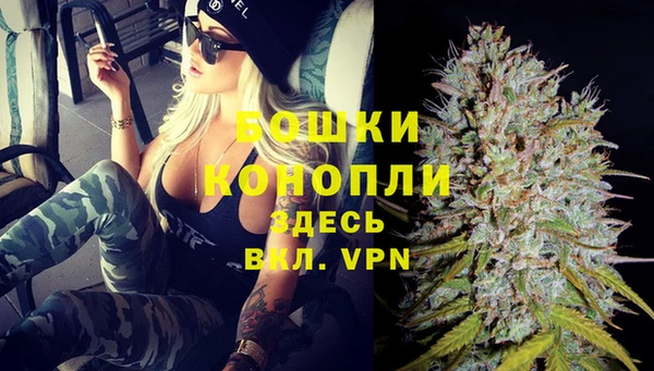шишки Лиски