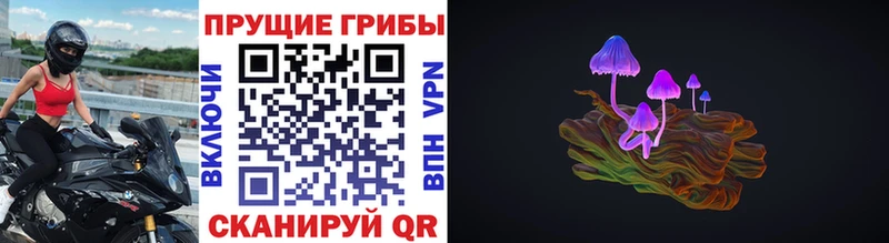 Псилоцибиновые грибы Magic Shrooms  mega зеркало  Шимановск  хочу наркоту 